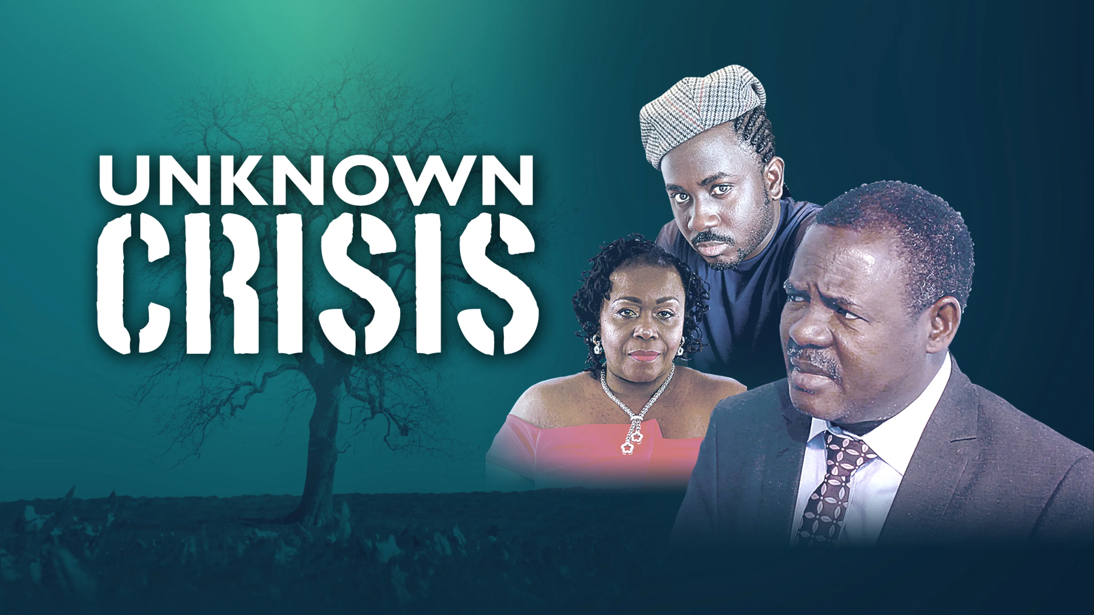Unknown Crisis poster